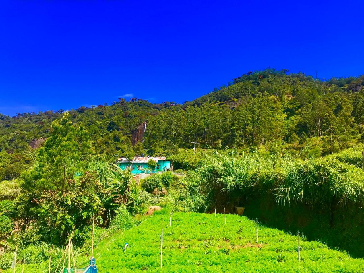 Loversleap Bungalow Nuwara Eliya Luaran gambar